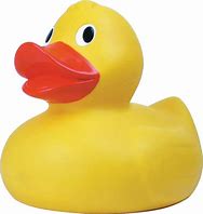Image result for Canada 200K Rubber Ducky