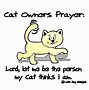 Image result for Cat Prayer