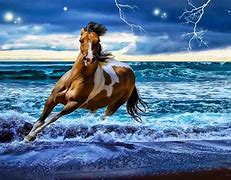 Image result for Cool Pictures of Horses