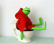 Image result for Kermit On Toilet