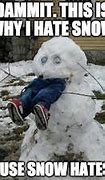 Image result for Snowman Memes