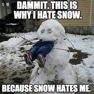 Image result for Snow Animal Meme