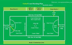 Image result for Netball Ball Drawing