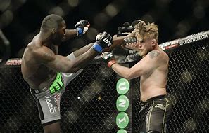 Image result for LFC Cage Fighting
