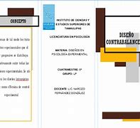 Image result for contrabalanza