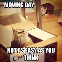 Image result for Moving This Weekend Meme