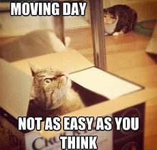 Image result for Funny Moving Memes