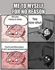 Image result for Brain Before Sleep Meme School