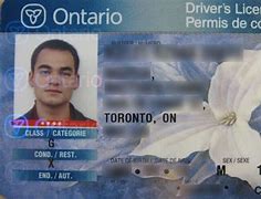 Image result for State Drivers License Templates