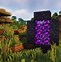 Image result for Nether Area