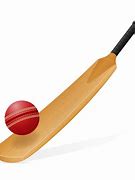 Image result for Cricket Bat Animated with Green Background