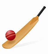 Image result for Cricket Bat Ball Vector