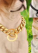 Image result for Stainless Steel Dog Chain