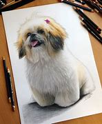 Image result for Animal Pencil Drawing Dog
