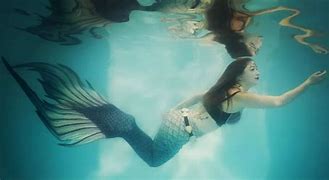 Image result for Pink Mermaid Real Life