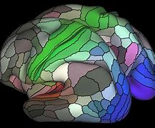 Image result for Partisan Brain Maps