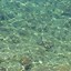 Image result for Water Texture Plan