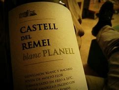 Image result for Castell del Remei Costers del Segre Blanc Planell