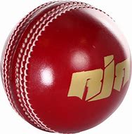 Image result for Cricket Png Icon Drawing
