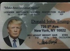 Image result for Donald Trump ID Card