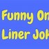 Image result for Puns and One Liner Jokes
