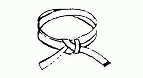 Image result for Hanshi Karate Belts