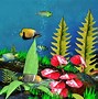 Image result for Live Fish Wallpaper iPhone 6s