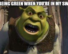 Image result for What Are You Doing in My Swamp Meme