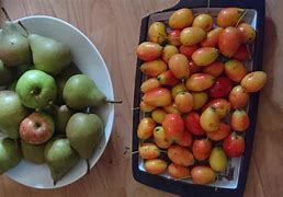 Image result for Small Green Apple Looking Fruit From Turkey