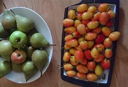 Image result for Red Fruit That Looks Like Apple