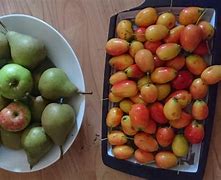 Image result for Small Red Apple Like Fruit