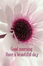Image result for Have a Beautiful Day Meme Flower