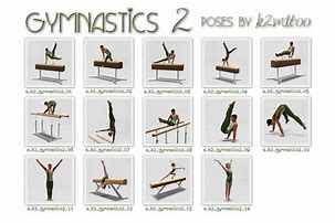 Image result for Gymnastics Equipment Names