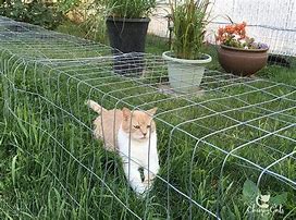 Image result for DIY Cat Tunnel