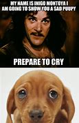 Image result for You Got This Puppy Meme