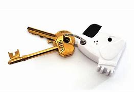 Image result for Oval Snap Hook Keychain