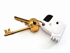 Image result for Keys On Keychain