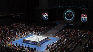Image result for Arena Wrestling Federation
