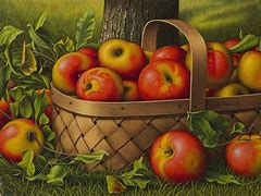 Image result for Apple Basket Painting