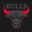 Image result for Chicago Bulls Logo Outline