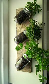 Image result for Wall Hanging Herb Garden