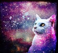 Image result for A Cat in Galaxy Colors