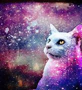 Image result for Grumpy Cat Galaxy Wallpaper