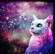 Image result for Galaxy Cat Laptop Wallpaper