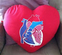 Image result for Open Heart Surgery Pillow