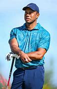 Image result for Tiger Woods at the Hero
