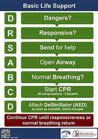 Image result for Basic Life Support Flow Chart