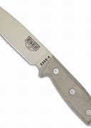 Image result for ESEE-4 Clip Point