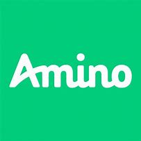 Image result for aminio