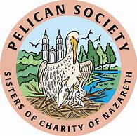 Image result for Pelican Like Bird